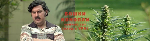 дистиллят марихуана Заводоуковск