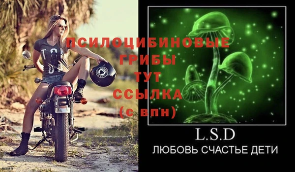 мдпв Заволжск