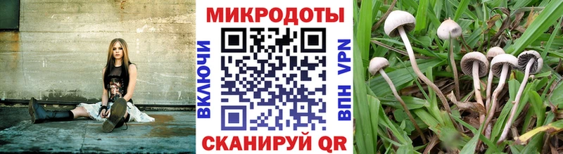 Галлюциногенные грибы мицелий  Петров Вал 